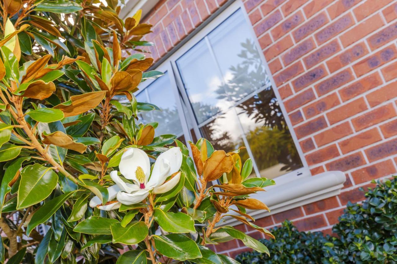 Sweet Magnolia 1 Or 2 Bedroom Suite St Kilda Cambridge With Complimentary Continental Breakfast Exteriér fotografie